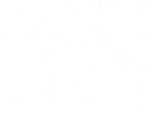 nelstar-white-logo